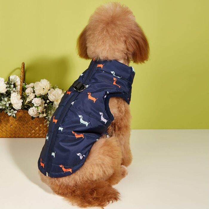 Теплий зимовий одяг для собак: куртка для маленьких собак, вітронепроникний, чорний, розмір M (S, блакитний)