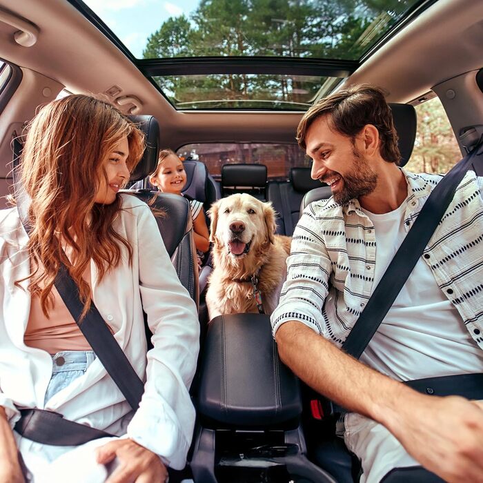 Автомобільний ремінь безпеки для собак AYADA: еластичний, регульований, з відбивачем, нейлон. Підходить для собак та котів, для заднього сидіння, безпечний, з карабіном.