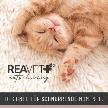 М'яке ліжко для котів ReaVET - затишне гніздечко з подушкою I місце для сну котів з м'якими подушками I дуже м'яке та пухнасте I ліжко для котів з фетру (гніздечко для котів)