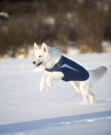 Водонепроникна куртка для собак RC Pet Products Cascade, флісова підкладка, розмір 30, синя