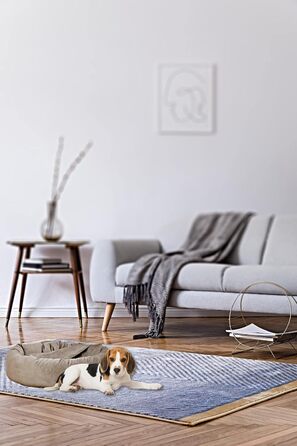 Килимок для собак Luxus Denver | гігієнічний, миючий | розмір M (для маленьких та середніх собак) | затишна печерка з пакетиками для збору відходів | оксамит, пудровий | діаметр 68 см