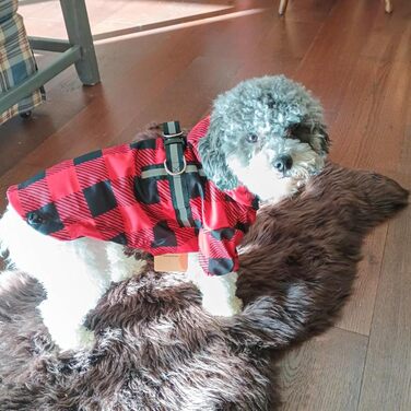 Водонепроникний дощовик для собак BeautyZoo з капюшоном та інтегрованим шлейкою. Підходить для малих, середніх та великих собак, хлопчиків та дівчаток. Розмір S (Back 13.2', Chest 18.5', Neck 13.9'), колір Buffalo Red