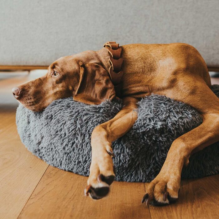 Лопа (LOPPA) - м'яке ліжко-подушка для собак та котів, ковзаюча основа, прання при 30°C, білий, L