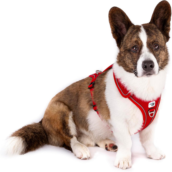 Шлейка для собак Belka, регульована, чорна, XL