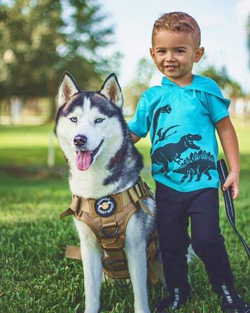 Шлейка для собак Rabbitgoo для великих собак без натягу, тактична нагрудна шлейка з MOLLE, металеві пряжки, дихаюча, військова, регульована, з підкладкою, L (1 шт., коричнева)