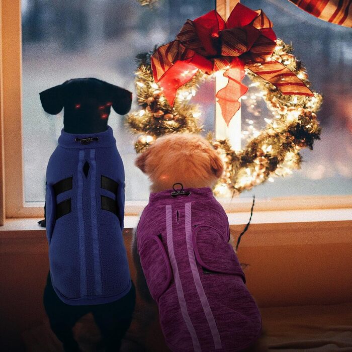 Теплий зимовий пуловер/мандель для собак Queenmore з флісу, для дрібних порід (Чихуахуа, Такса, Бульдог), колір: фіолетовий