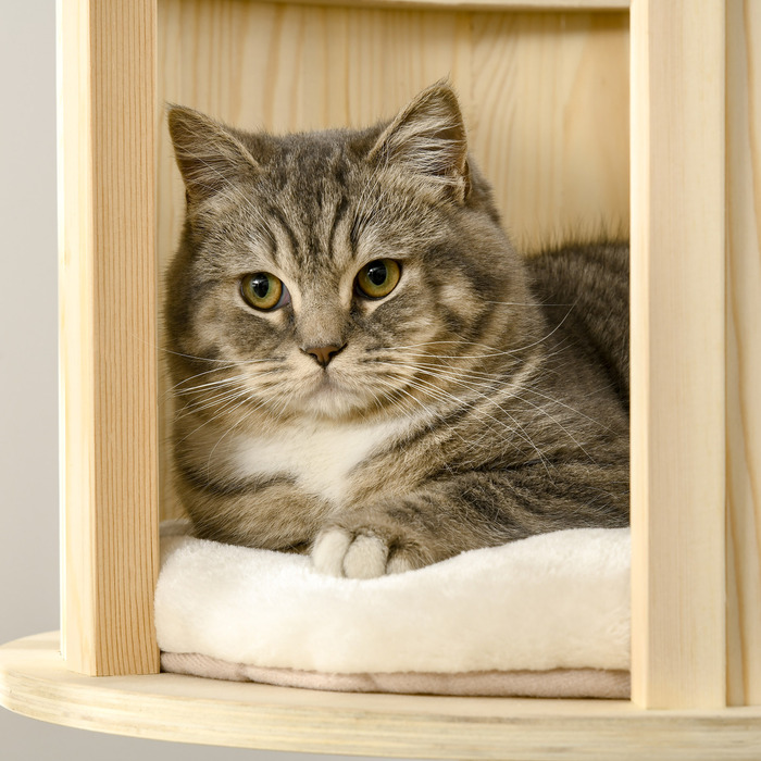 PawHut Cat Tree with Cat Cave висотою 122см, три рівня, дерево, стовбури з сизалю, ігрові м'ячі для активних котів