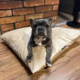 колір: бежевий (самот-іміта)