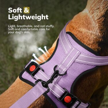Нашийник для собак FAYOGOO без чіткого затягування, з відбиваючими елементами, м'який, з підкладкою, для маленьких, середніх та великих собак, фіолетовий, розмір XS