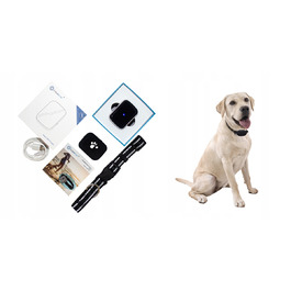 GPS-трекер для собак CALMEAN Maxi + нашийник L/XL