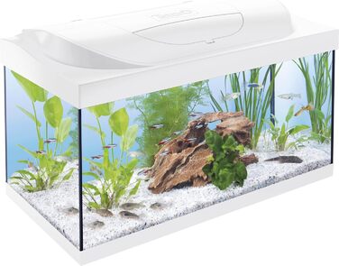 Акваріум Tetra Starter Line 54 л, білий, комплект з LED підсвіткою день/ніч, внутрішнім фільтром, нагрівачем, кормом і кондиціонером для води
