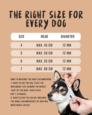 Нашийник для собак Rudelkönig Emma - Елегантний нашийник-стоп для собак з шкіри та нейлону - ø 12 мм - Зручний навчальний нашийник для великих собак (6, Чорний)