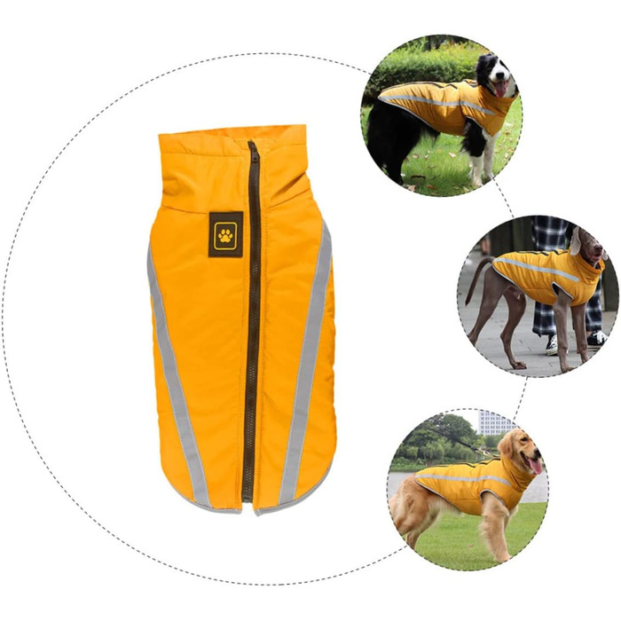 Теплий зимовий одяг для собак: куртка, плащ для прогулянок та відпочинку | iBasenice