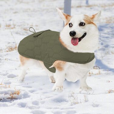 Зимовий теплий одяг для собак - тепла вітрозахисна жилетка для собак, одяг для собак на холодну зиму, зручна куртка для маленьких, середніх та великих собак (зелений)