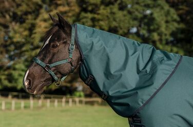 Посівна попона Horseware Amigo Ripstop 900D Lite (0г) для коней, Dynasty Green/Navy & Silver, 115 см (5'6