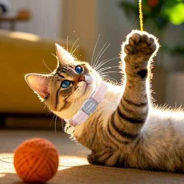 Персоналізоване ошатне нашийник для кота з безпечною застібкою та дзвіночком, нашийник з іменним жетоном та номером телефону, регульований, з велюру, для кошенят