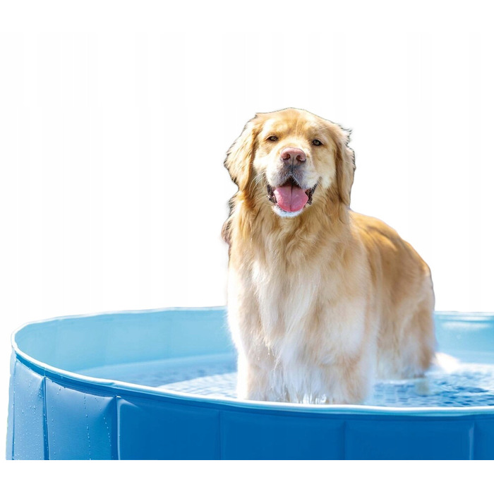 Складальний жорсткий басейн Intex для собак та тварин, 152x30 см, 48400