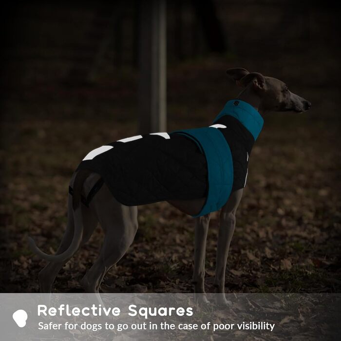 Тепла куртка для грейхаундів та інших породистих собак, флісова підкладка, блакитна