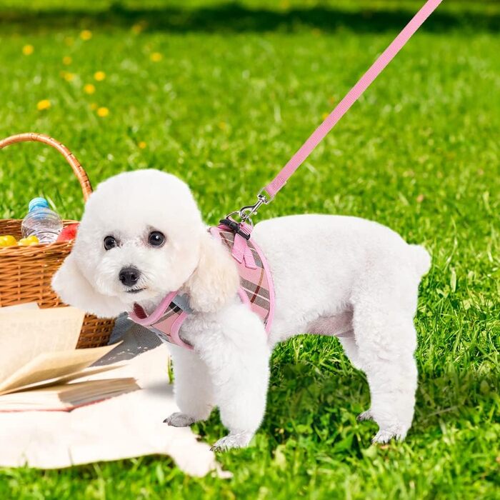 EXPAWLORER Нашийник та поводок для собак – набір для середніх собак – класичний вільний нашийник, не тягне, регульований, надійний для прогулянок на вулиці (XS (нашийник: 20-30см, обхват грудей: 33-36.8см), Рожевий)