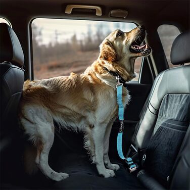 Автомобільний ремінь безпеки для собак IBWell з еластичною стрічкою-амортизатором, сірий, 70,1 см