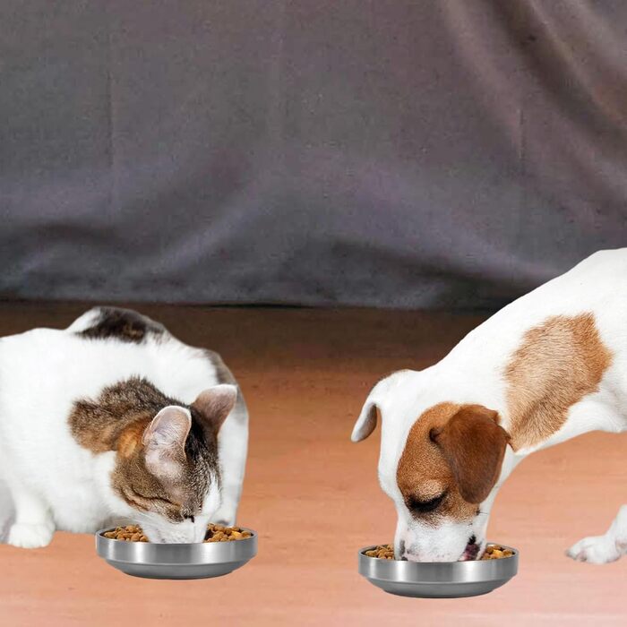 Миски для котів з нержавіючої сталі, 2 шт. - миски для сухого та вологого корму, нержавіюча сталь 304 (Золотий)