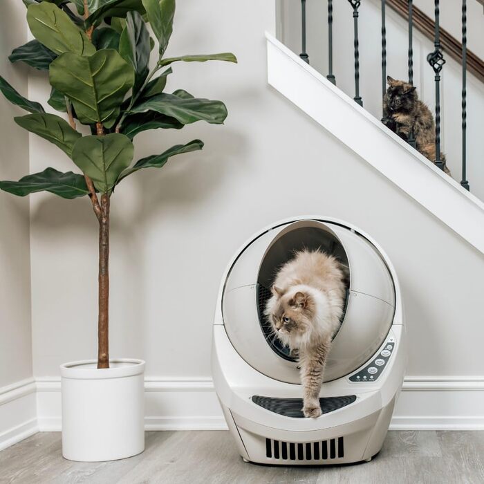 Автоматичний туалет для котів Litter-Robot 3 Connect Whisker, бежевий, самоочищення, зменшує запахи, підходить для будь-якого грудкуватого наповнювача