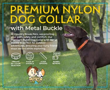 Country Brook Design – Преміум нейлоновий нашийник для собак, металева пряжка, зелений, маленький, ширина 1,9 см, понад 30 кольорів