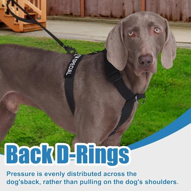 Шлейка для собак FEimaX для великих собак, тактична, не тягне, чорна, XL. Зручна, дихаюча, міцна, з м'якою підкладкою