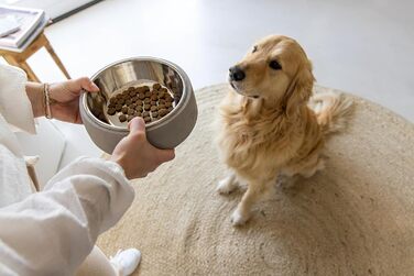 Миска для собак Lotte Riboco, кераміка, 16x16x5 см