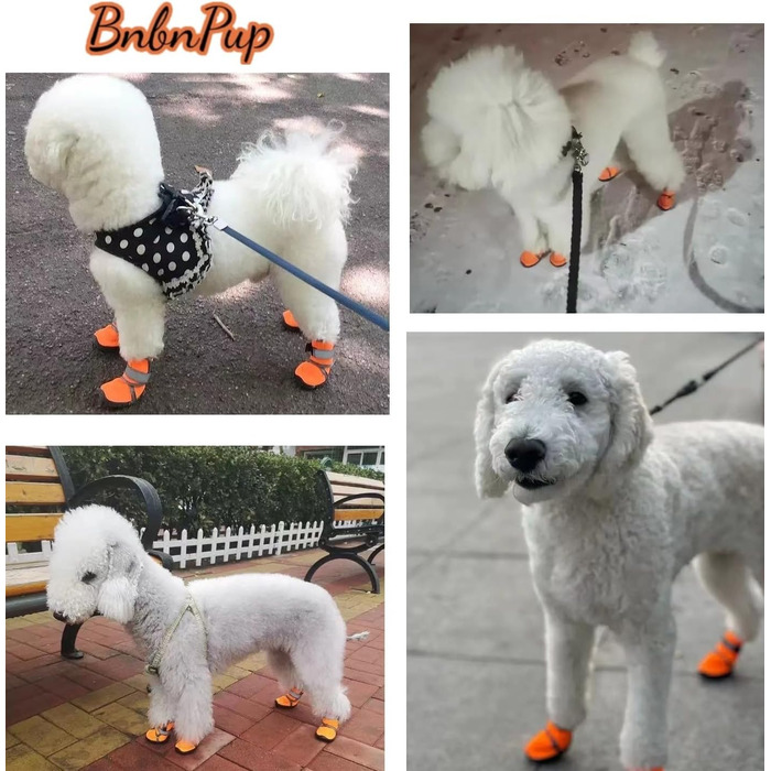 Чоботи для собак: захист лап, антиковзка підошва, для активного відпочинку на природі