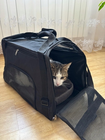 Складана сумка-переноска для собак та котів з килимком, розмір L