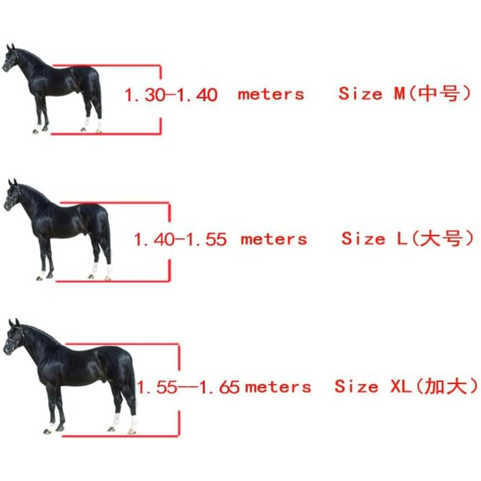 Гетри для коней Merauno® 4 шт. Комплект гетрів для передніх та задніх ніг з жорсткою оболонкою та клямками для жінок та чоловіків. Міцні, еластичні чоботи для сухожиль, класичні (L, синій)