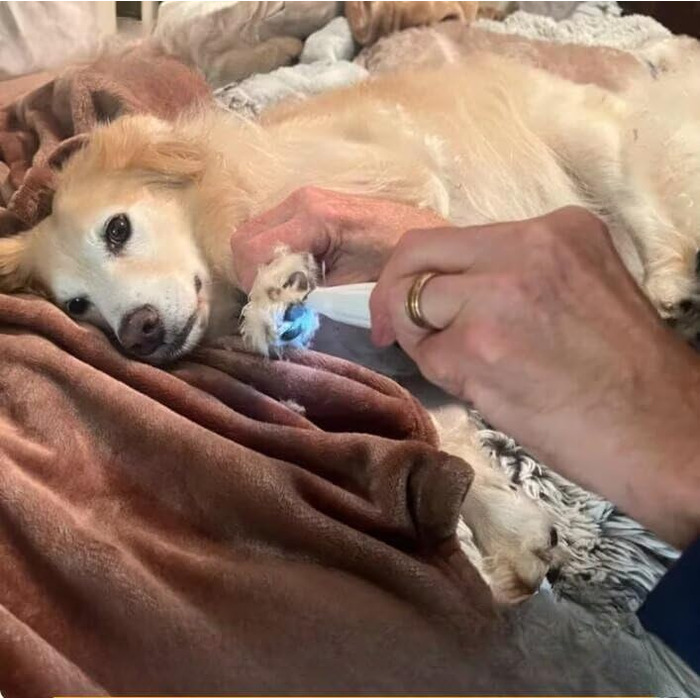 Триммер для лап SWZEC Paw Trim Pro Dr. Pfoten, оригінальна модель, білий