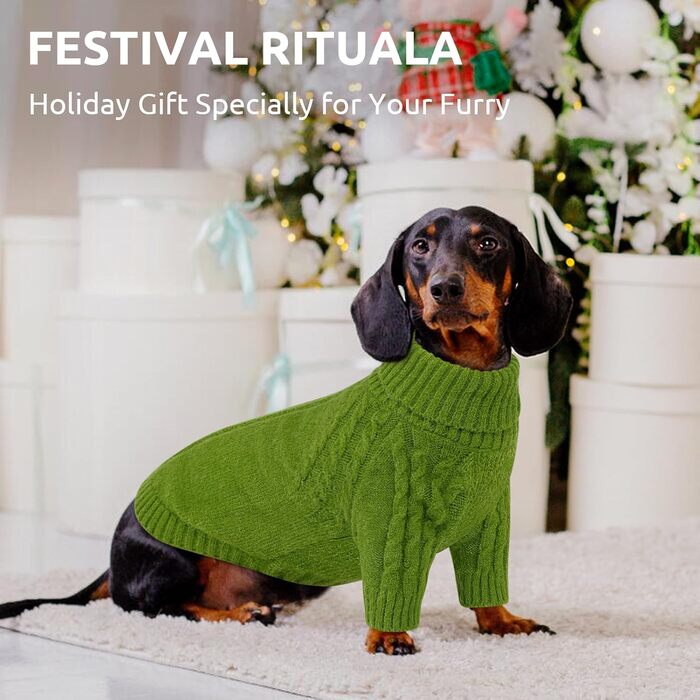 Теплий пуловер для собак Queenmore: Дакель, Французький бульдог, Бігль, Шнауцер (зелений, M)