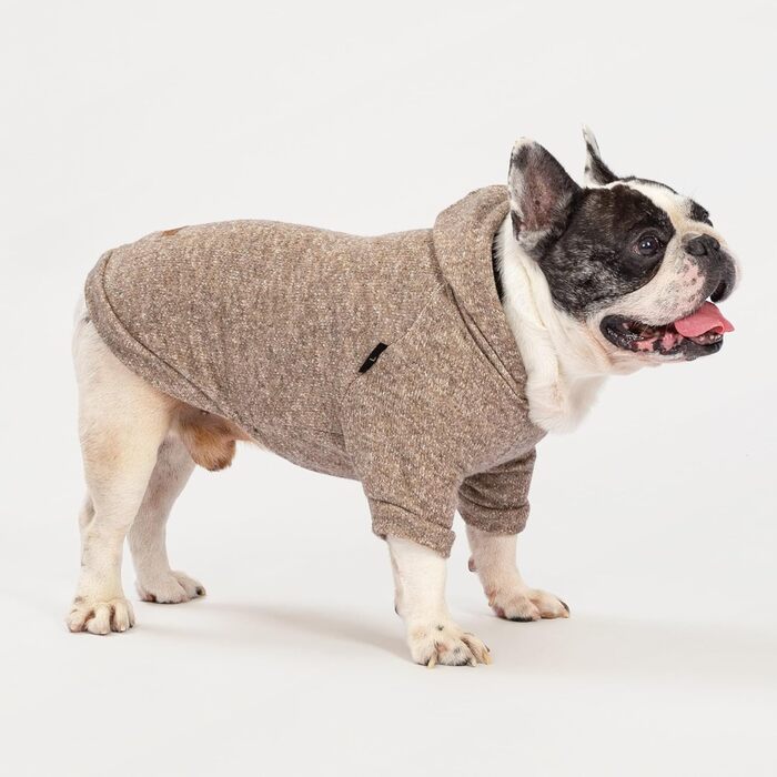 Світшот для собак Fitwarm, зимовий одяг для маленьких собак, хлопчиків та дівчаток, легкий, кашемір Хакі, розмір XXL