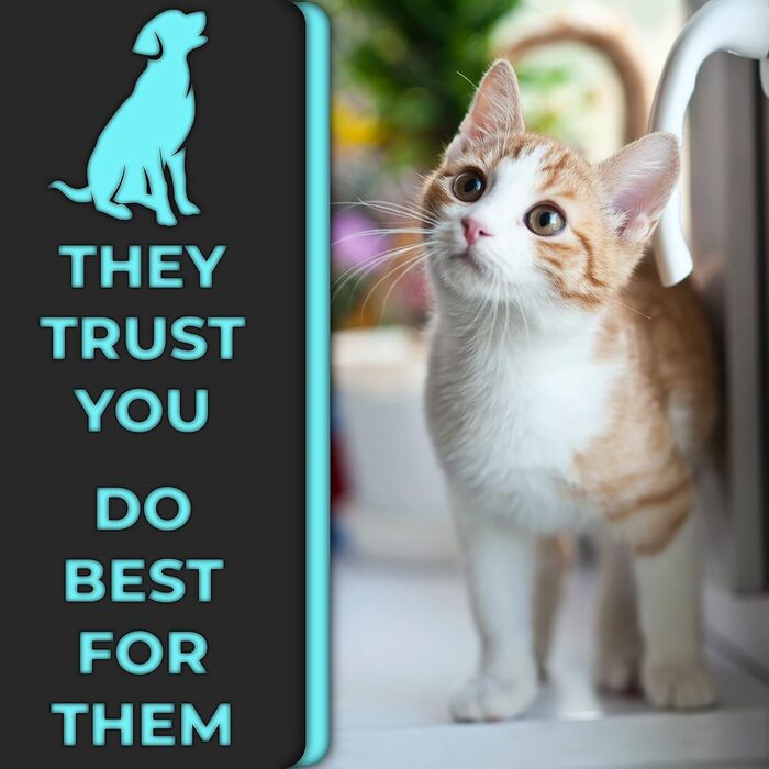 Кігтеріз H&H Pets для котів і дрібних тварин, леза з нержавіючої сталі, нековзна ручка, професійний інструмент для грумінгу вдома