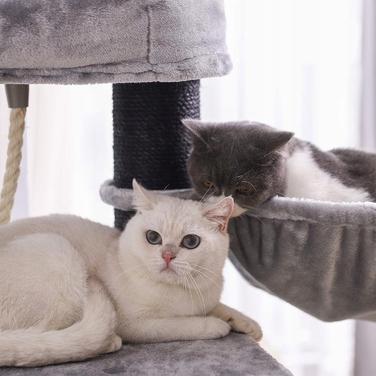 Високий когтеточка-комплекс Feandrea 101: ігровий стовпчик та лежанка для котів, 160 см