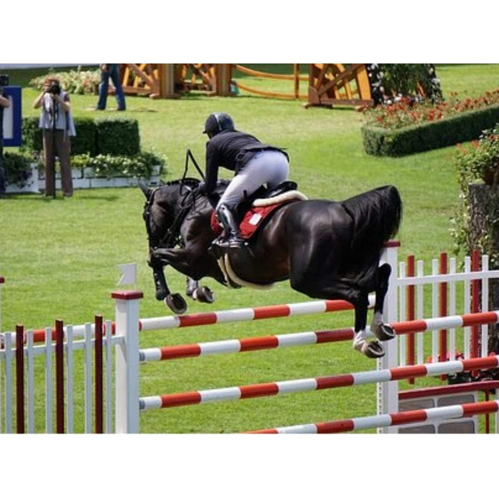 Наїзницька батогом для коней Jump Bat 18 дюймів з декором зі стразів. Кольори: чорний, синій, зелений, фуксія, рожевий, фіолетовий, червоний, жовтий