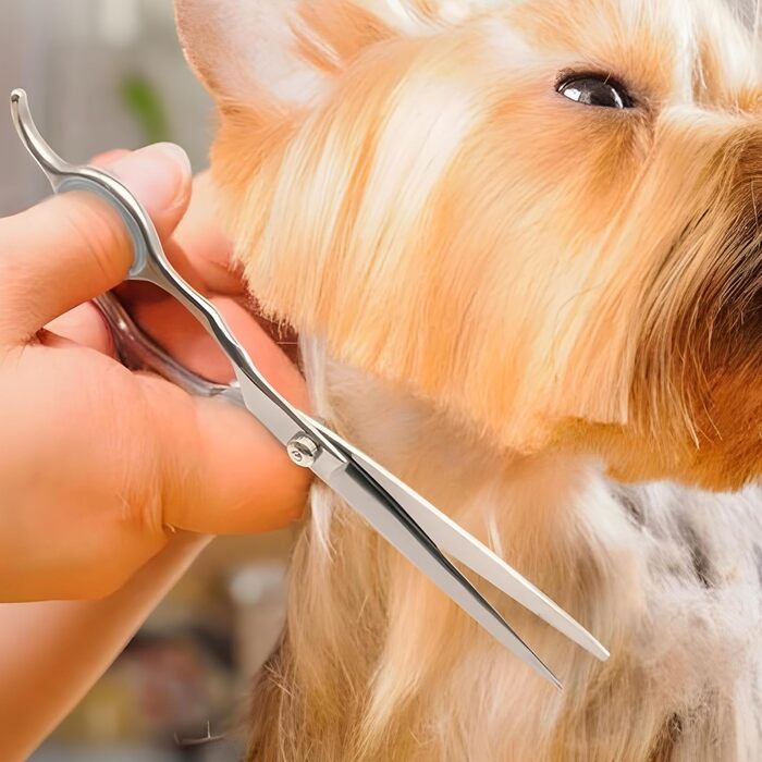 Електрична машинка для стрижки собак та котів Retoo з 4 насадками та регулюванням довжини