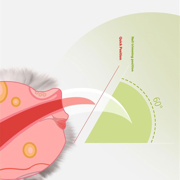 Триммер для обрізання кігтів домашніх тварин з LED-підсвічуванням для собак та котів. Безпечний інструмент для догляду, запобігає розшаруванню кігтів. Професійні ножиці для кігтів для маленьких собак. Зелений колір.