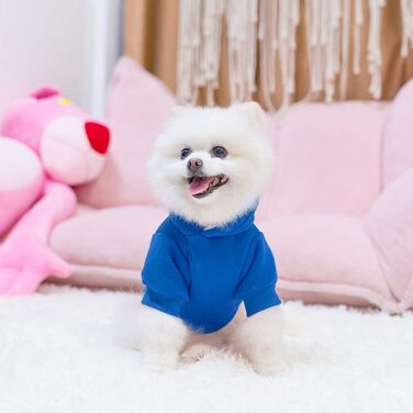 Теплий худі для собак з капюшоном, блакитний. З отвором для повідка та кишенею. Зимовий одяг для собак XS-XXL.