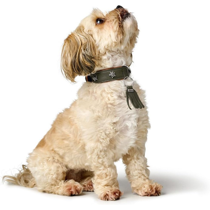 Нашийник для собак HUNTER München зелений/cognac, шкіряний, з елементами традиційного одягу, м'який та міцний, не травмує шерсть, розкішний, екологічно чистий, виготовлений у Німеччині, розмір 50