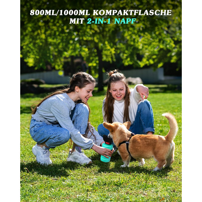 Складана пляшка для води для собак Lesotc 800 мл, вишнево-блакитна, для прогулянок, подорожей та кемпінгу