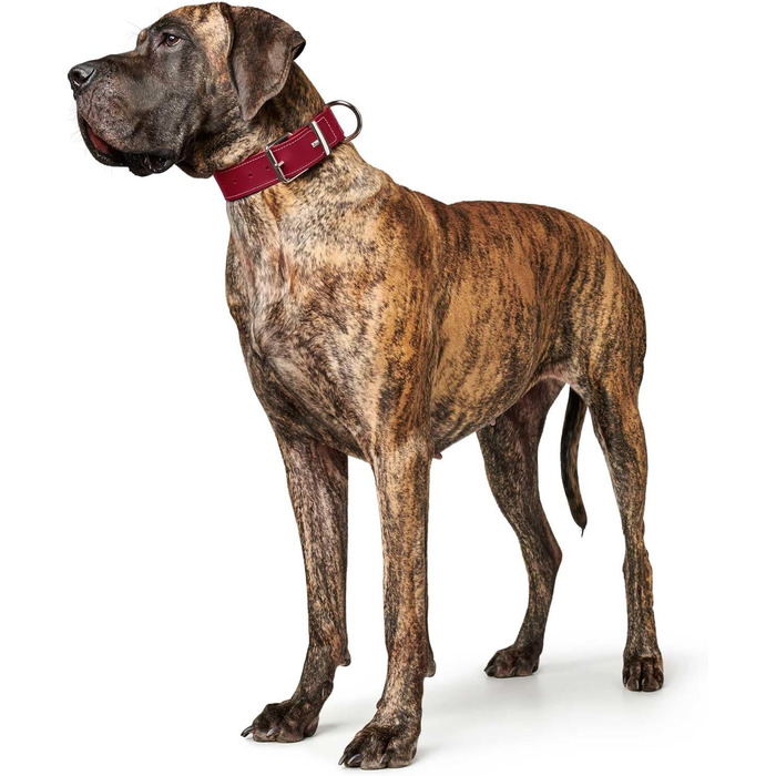 Нашийник для собак HUNTER AALBORG SPECIAL, червоний, шкіряний, міцний, комфортний (M)