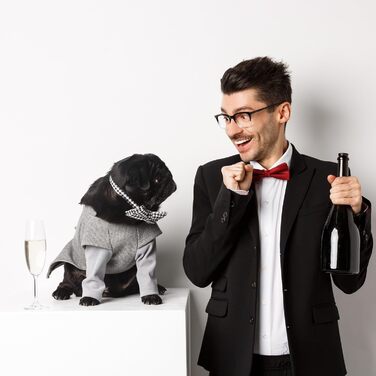 Ліжко для собак Oaza з бортиками, м'яке, текстильне, прямокутне (80x70 см), колір бежевий