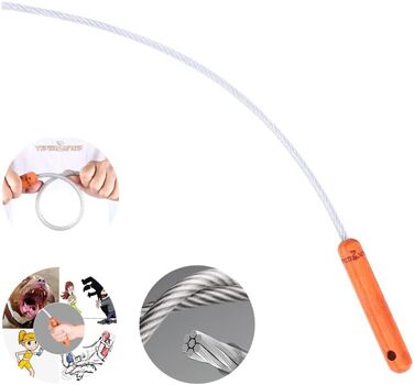 Бич для собак, дресирування, захист: біг, трюки, безпека