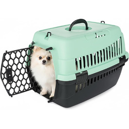 колір: abba hellgrün