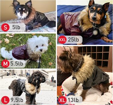 LESYPET Куртка для собак із натуральної шкіри, утеплена флісом, для маленьких собак, цуценят і котів, чорна, розмір XXL