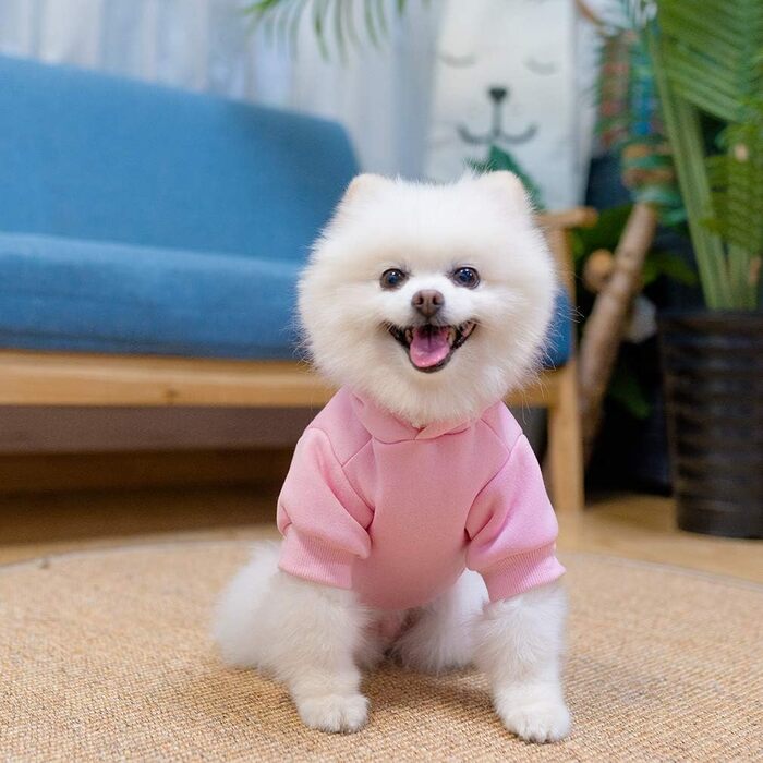 KOOLTAIL Пуловер з капюшоном для собак – теплий, м'який, з отвором для повідка та кишенею, зимовий одяг для собак, кошенят, дівчаток (Small/Medium, Рожевий)
