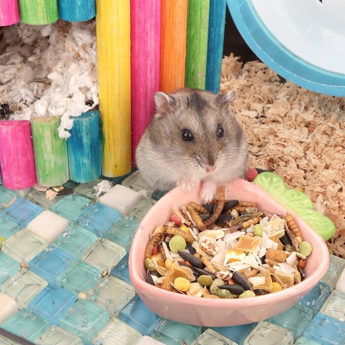 Керамічна годівниця для гризунів та їжаків, 2 шт.